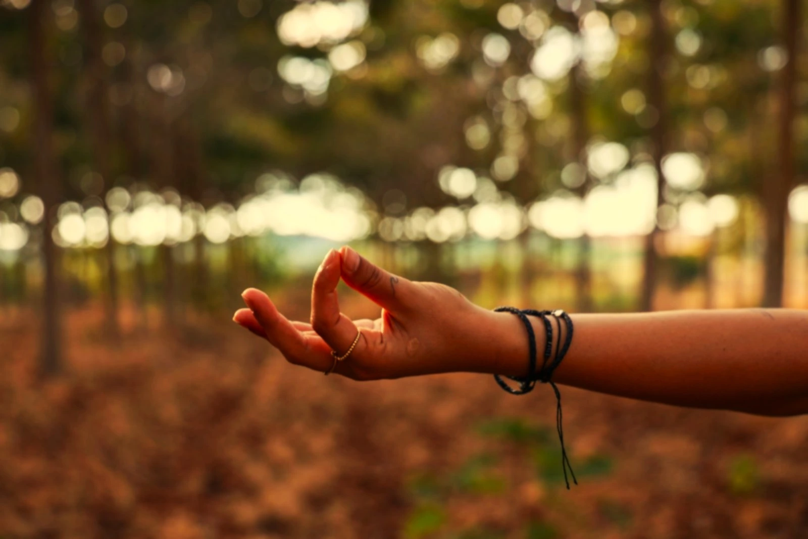 Mão em Chin Mudra, polegar e indicador unidos, com uma floresta desfocada ao fundo