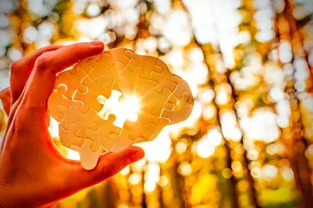 Mão a segurar uma peça de puzzle, em contraluz com uma floresta iluminada pelo sol.